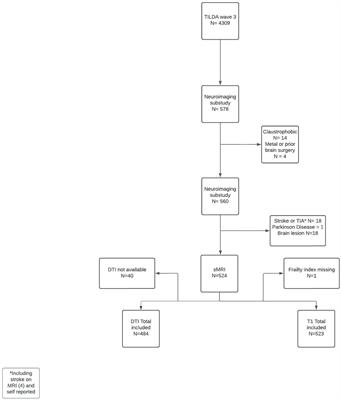 Structural brain signatures of frailty, defined as accumulation of self-reported health deficits in older adults